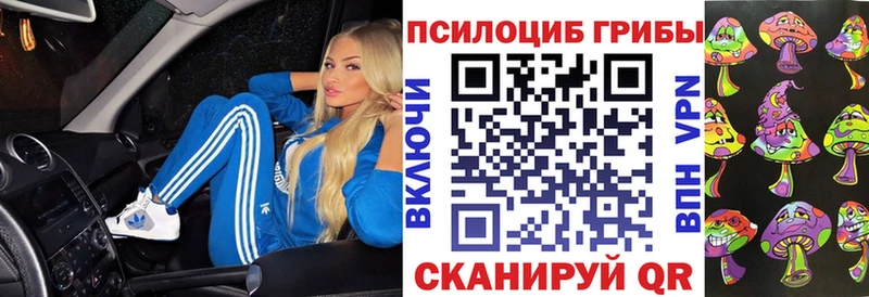 Псилоцибиновые грибы Psilocybine cubensis  Усинск 